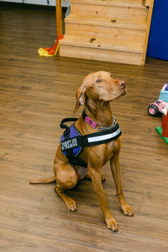 Katherine Ives Photography Chatterbox scaled